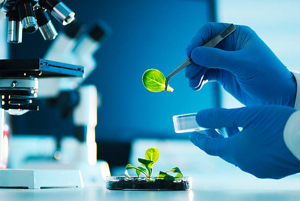 Biotechnology is a multidisciplinary field that harnesses biological processes